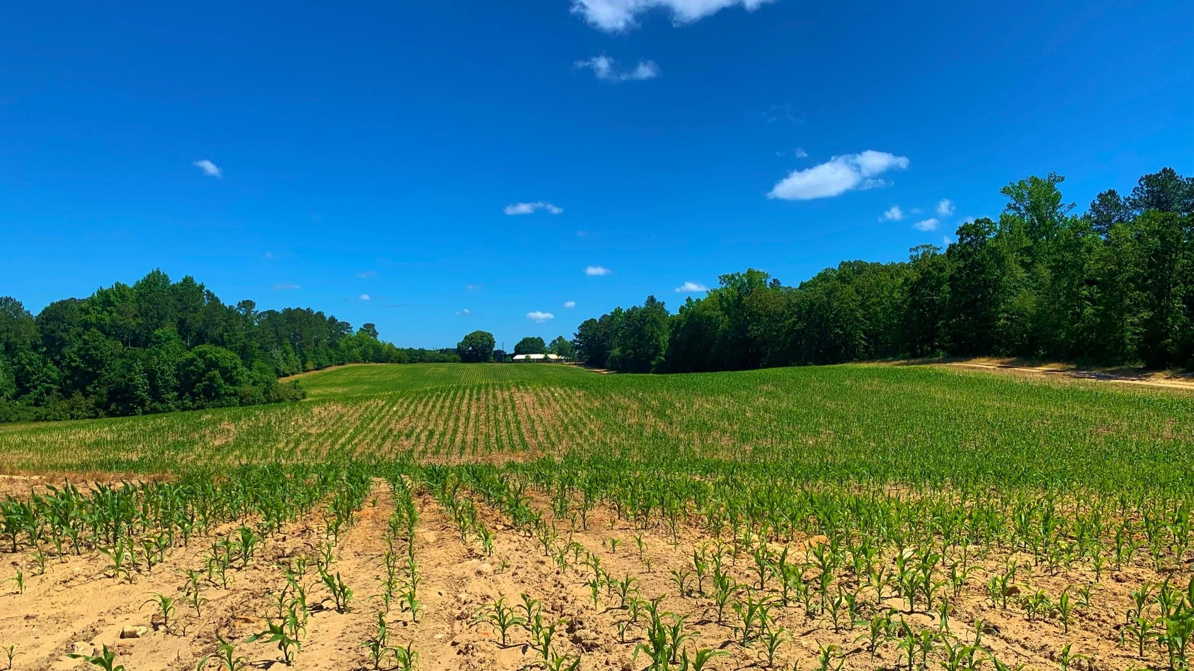 108.53 acres in Oglethorpe County,