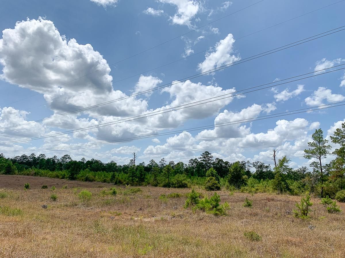 251 acres in Walker County, Texas