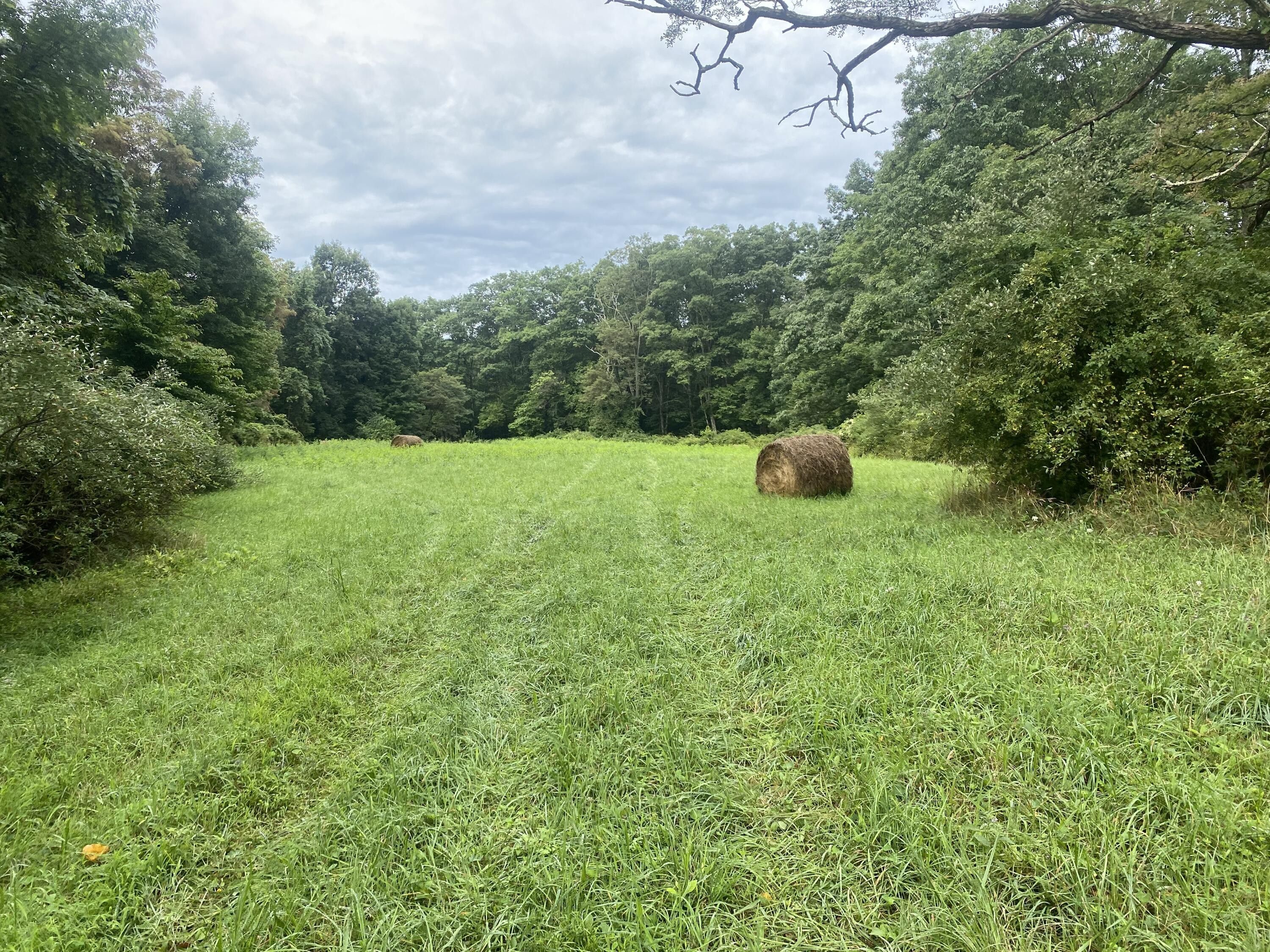 14.68 acres in Barbour County, West Virginia
