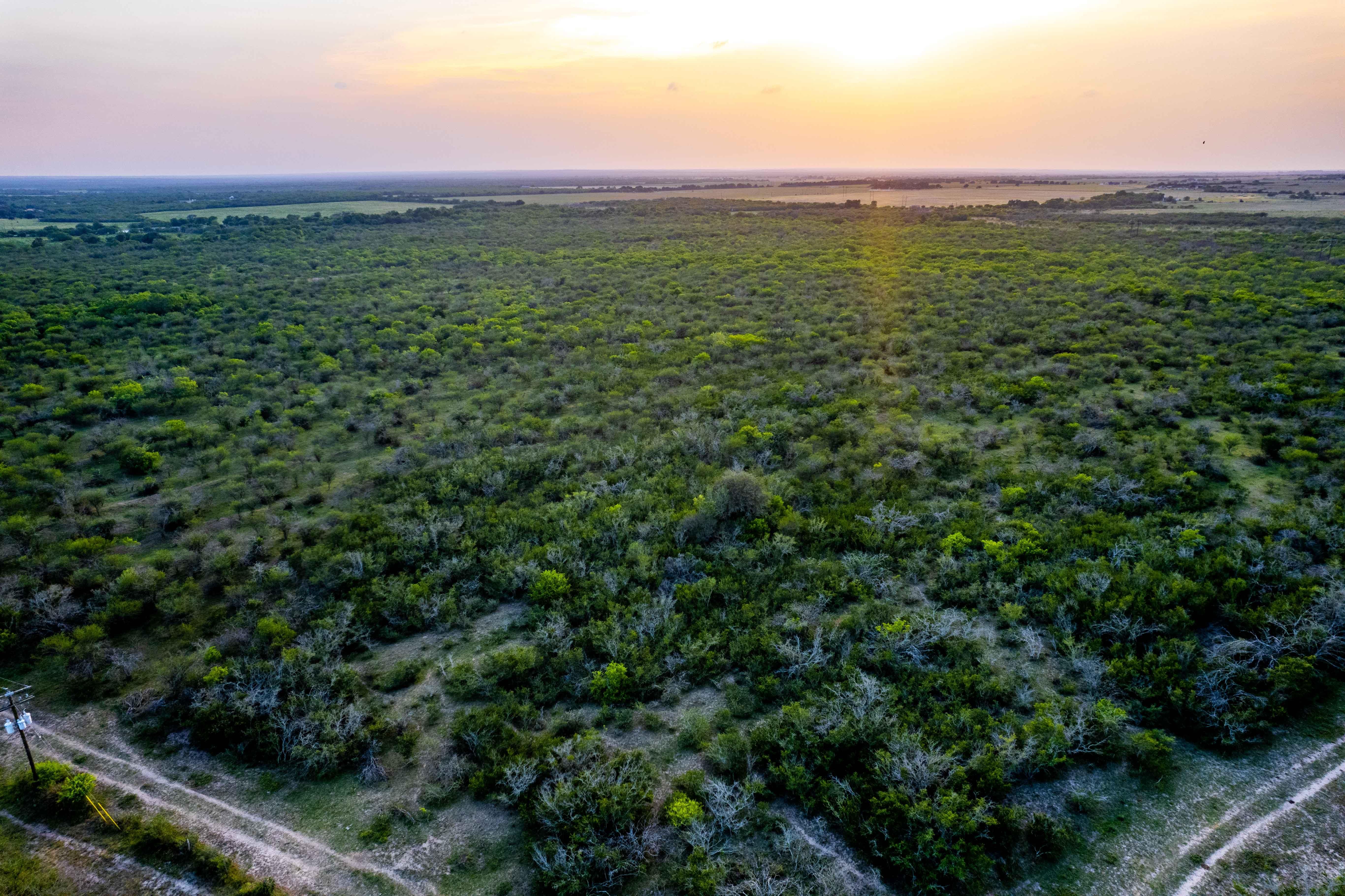 233.47 acres in Karnes County, Texas