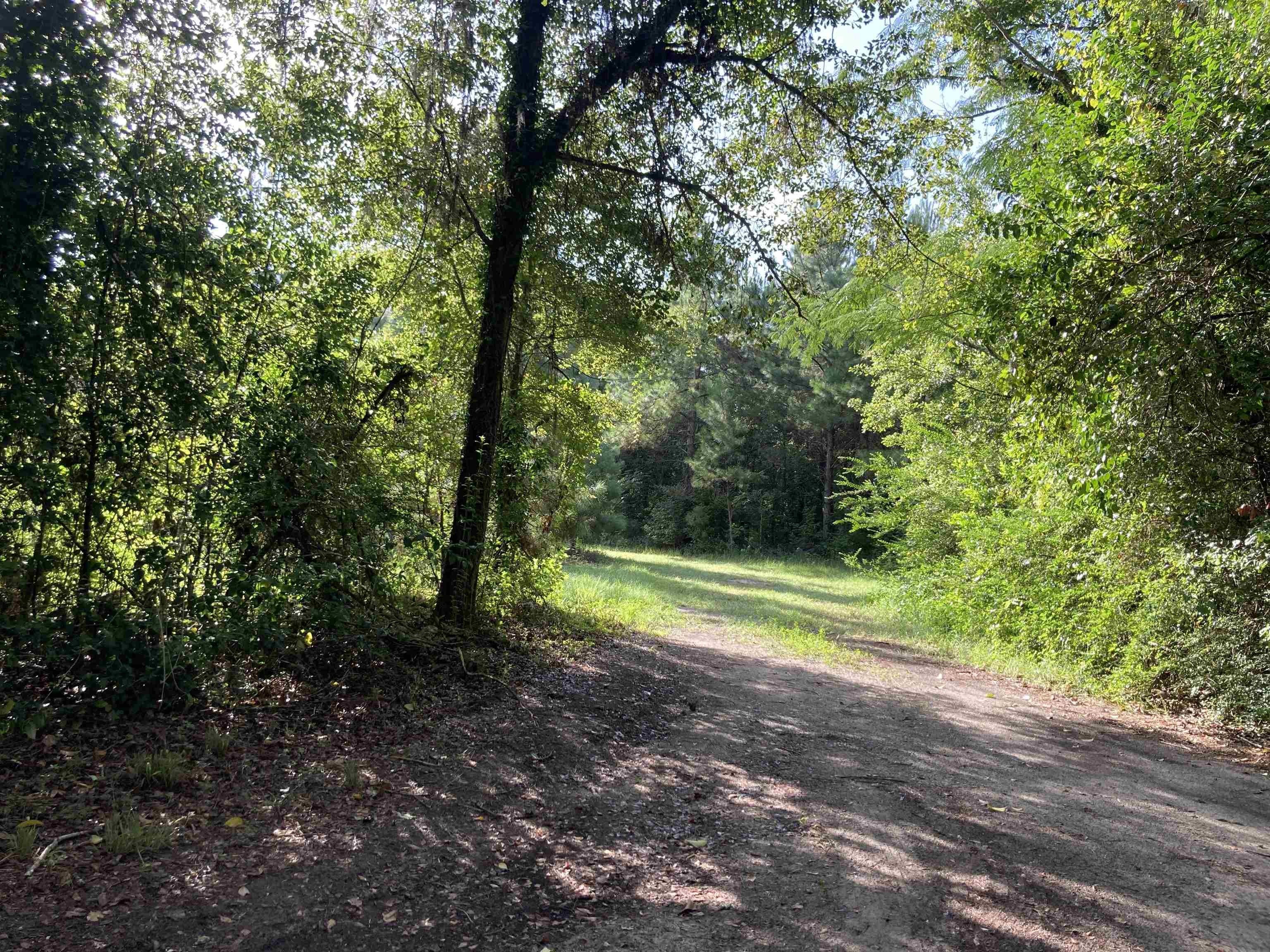 9 acres in Jefferson County, Florida