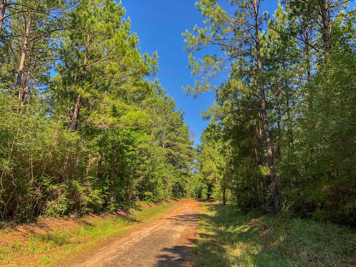 6 acres in Angelina County, Texas