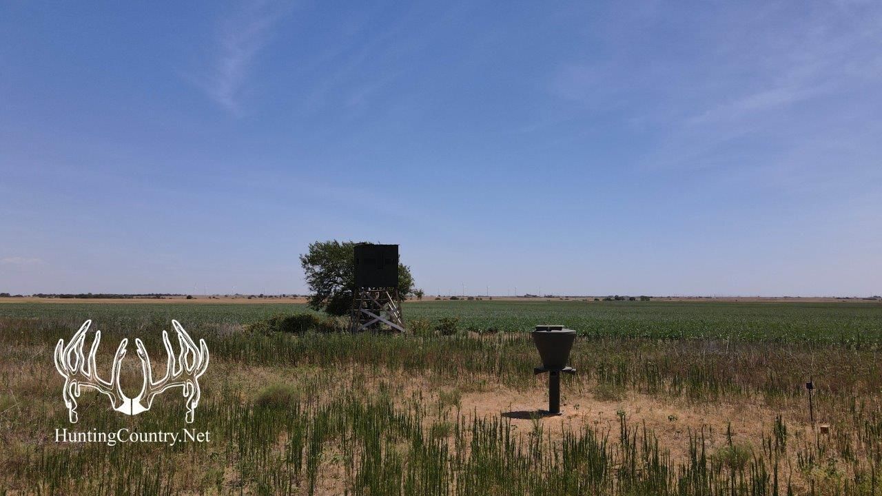 161 acres in Grant County, Oklahoma