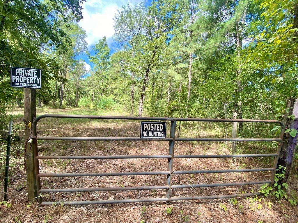 20 acres in Angelina County, Texas