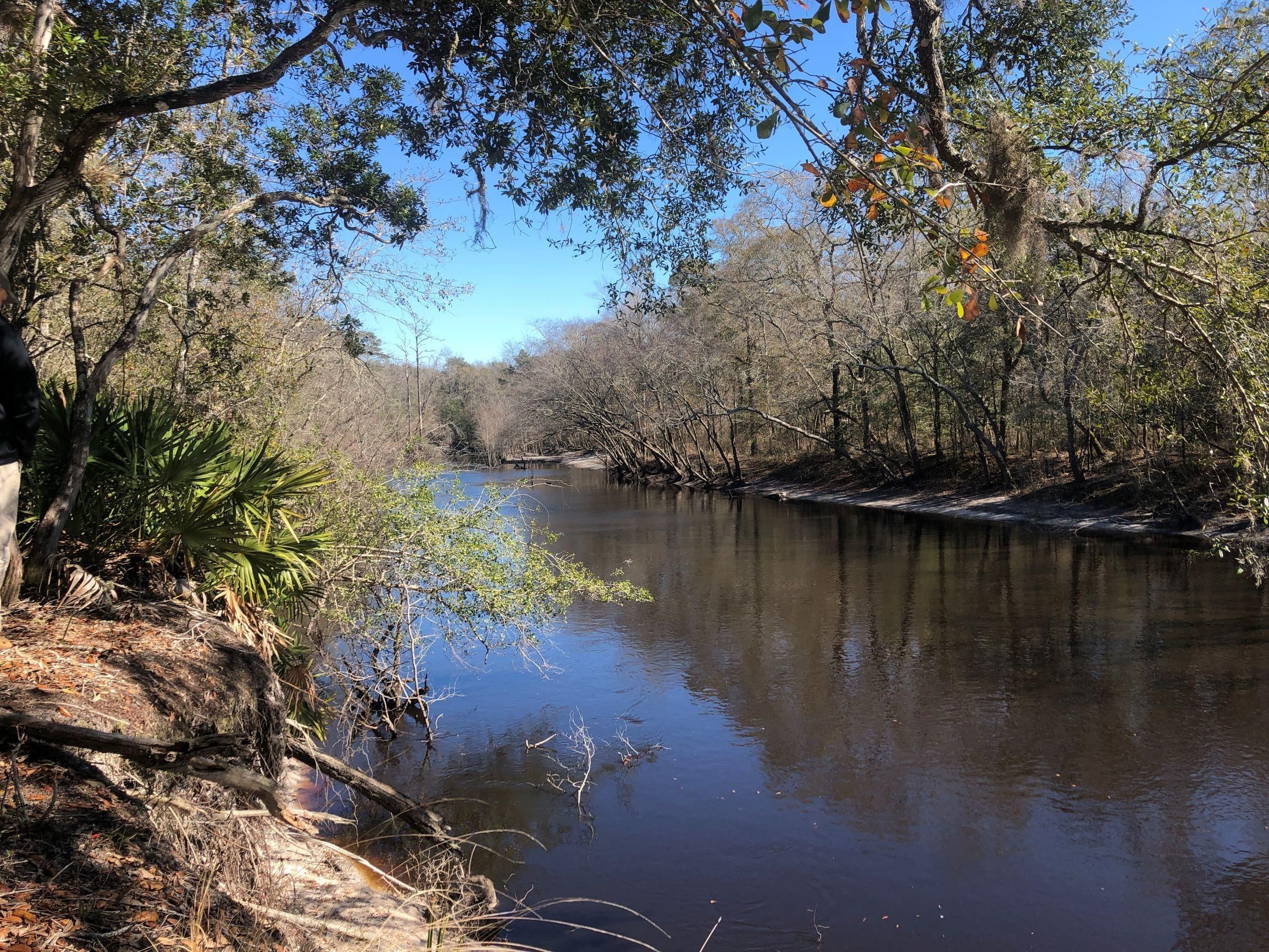 29.3 acres in Charlton County,