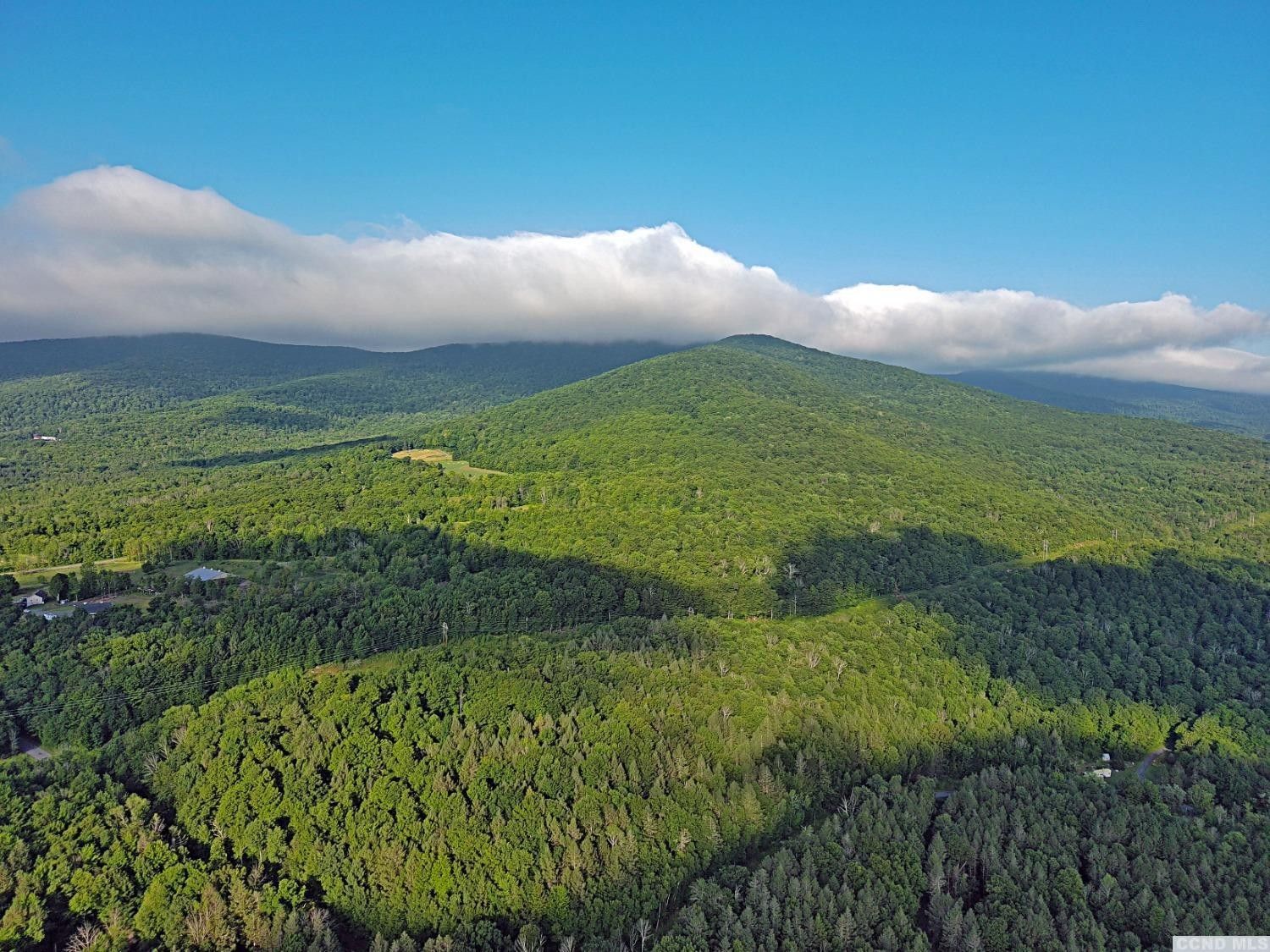 7.8 acres in Greene County, New York