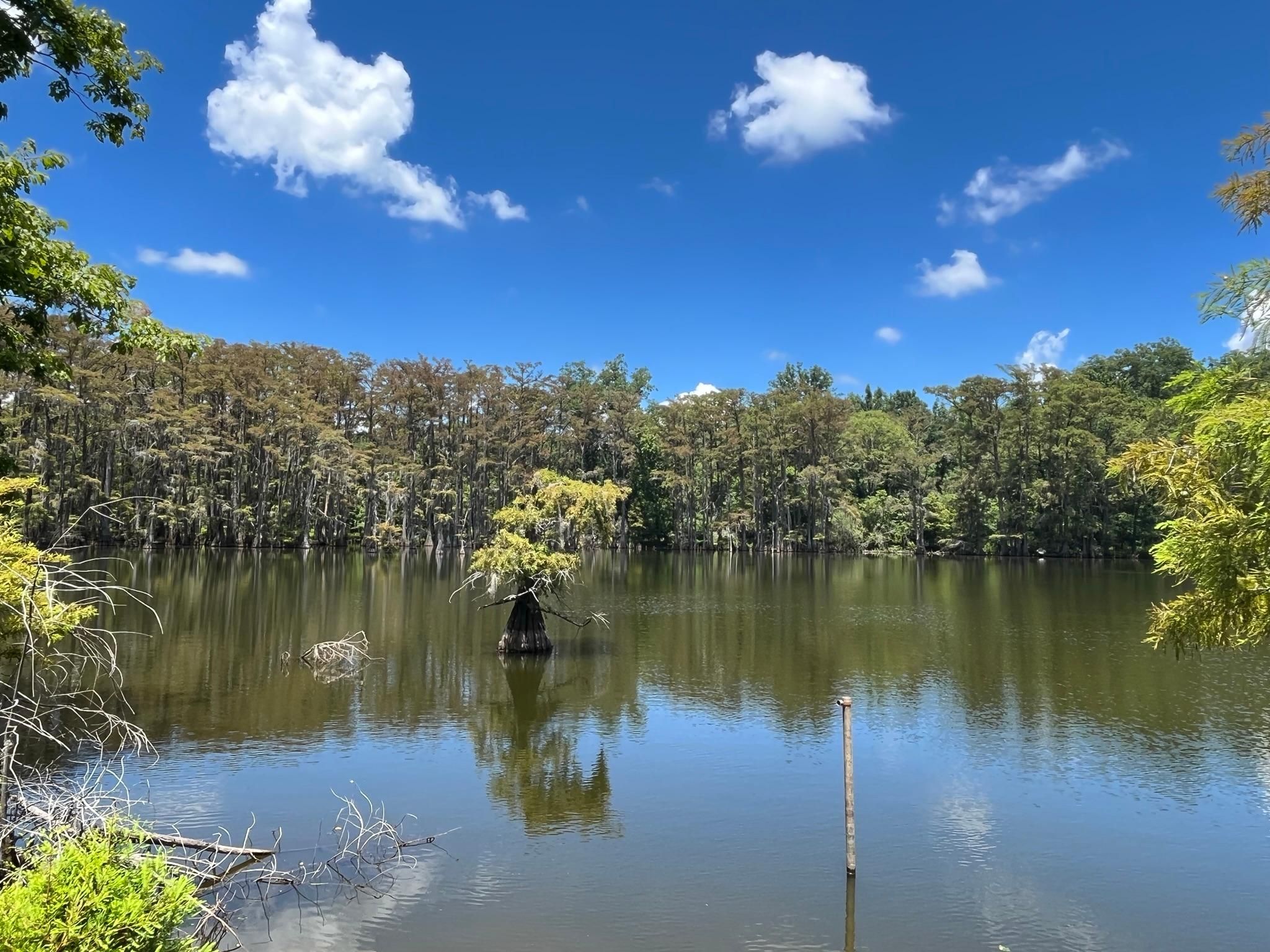 725 acres in Vicksburg, MS, 39183