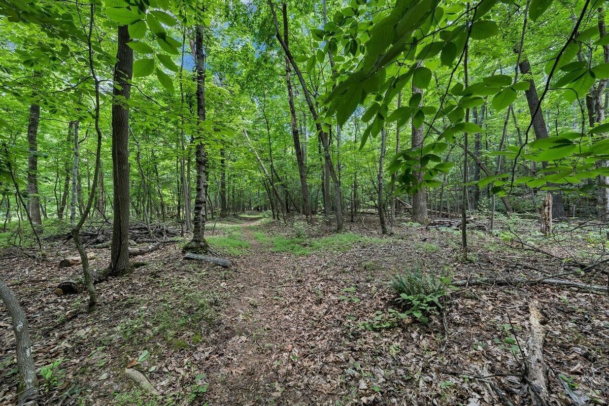 4.2 acres in Botetourt County, Virginia