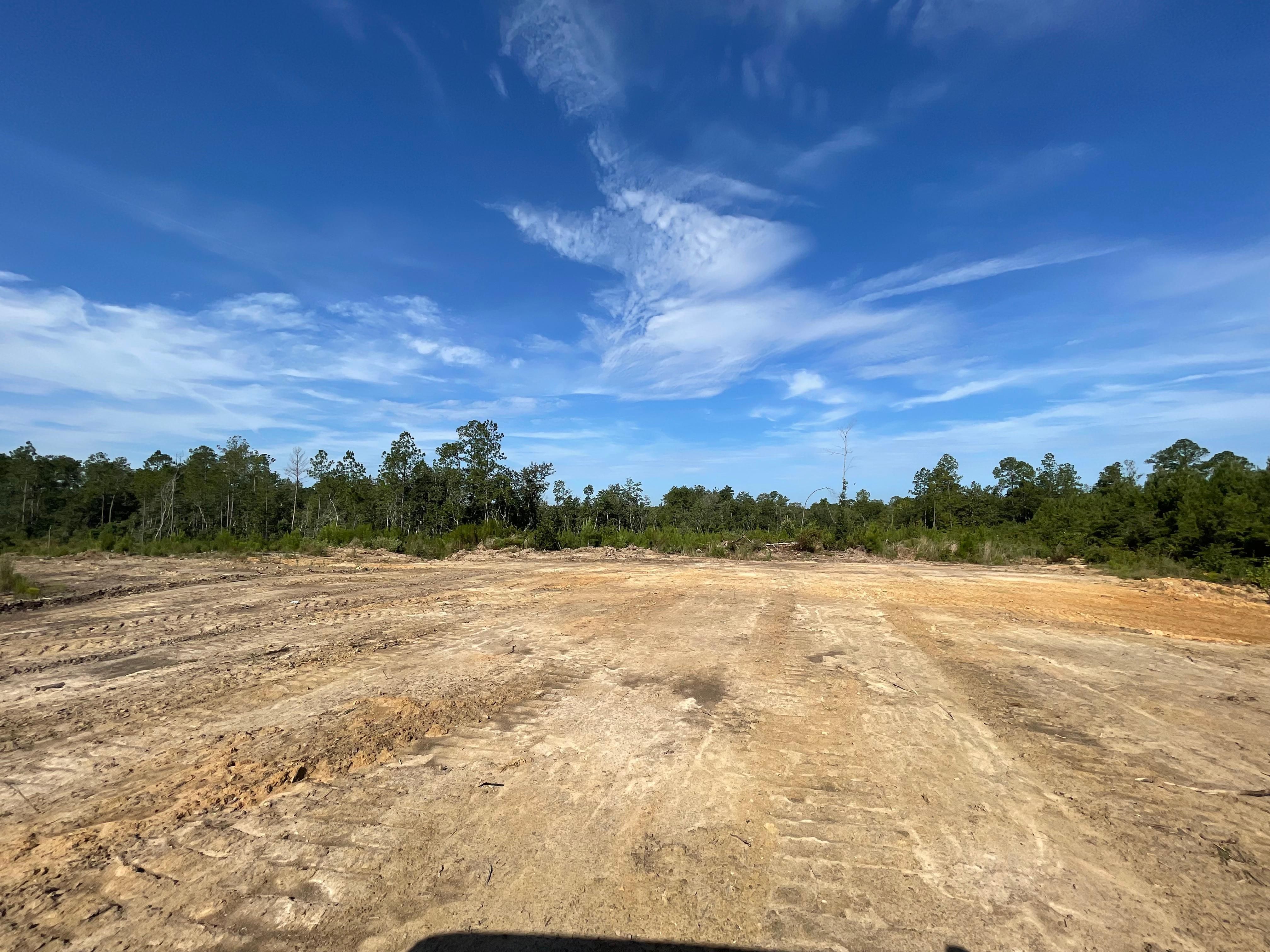 Antioch Church Road, Millry, AL 36558 MLS Magee Tract