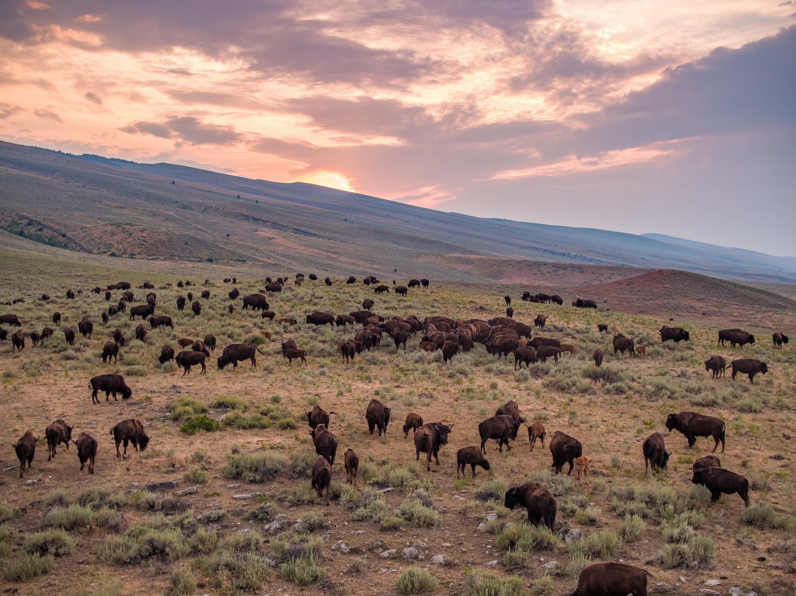 2,107 acres in Fremont County, Wyoming