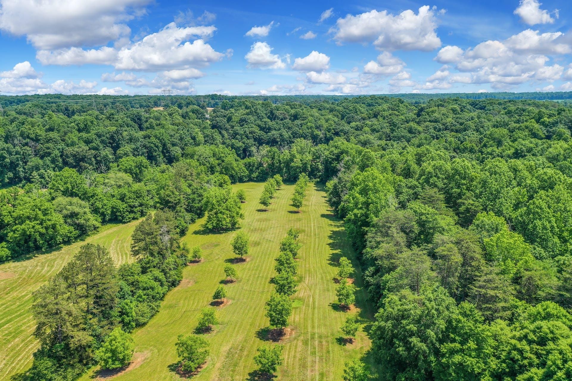 58 acres in Randolph County, North Carolina