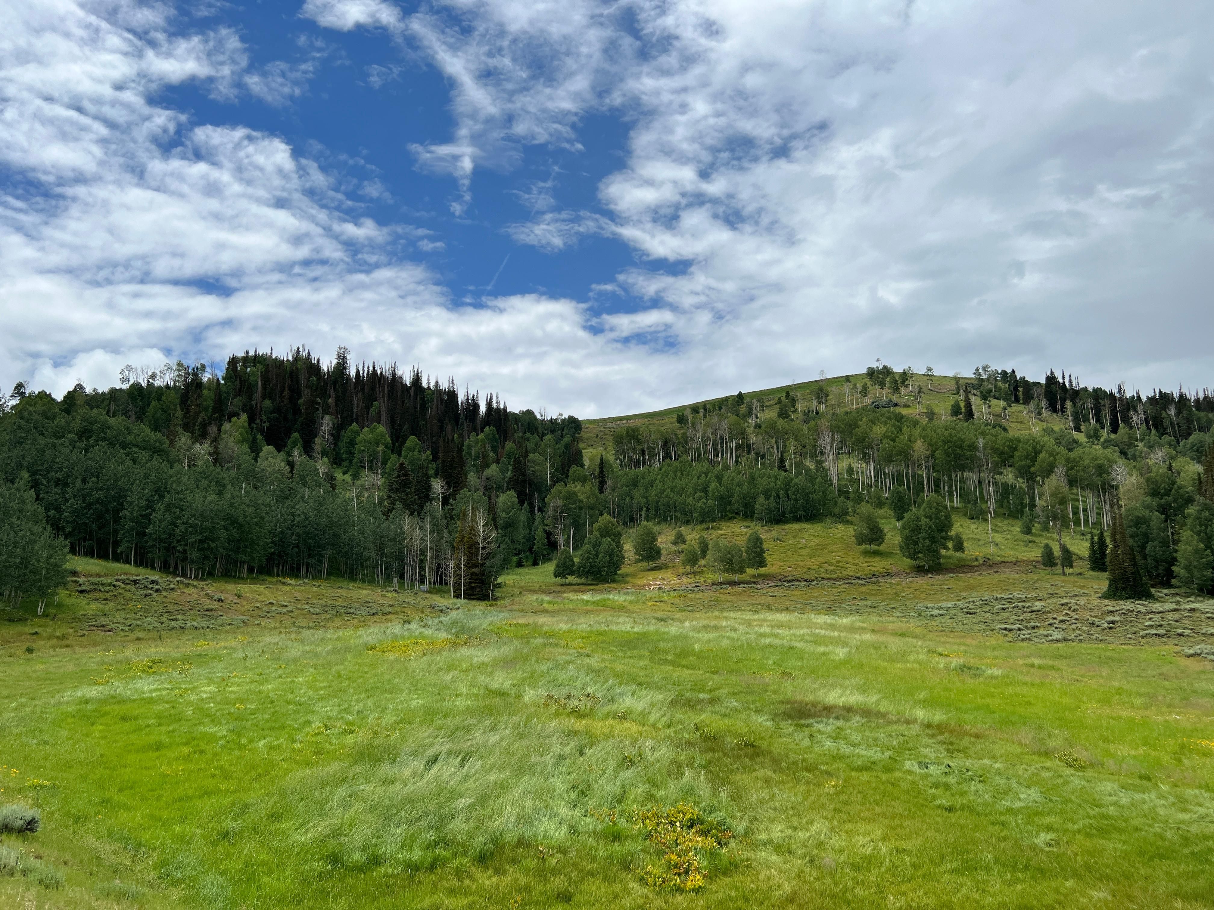 1,701 acres in Sanpete County, Utah