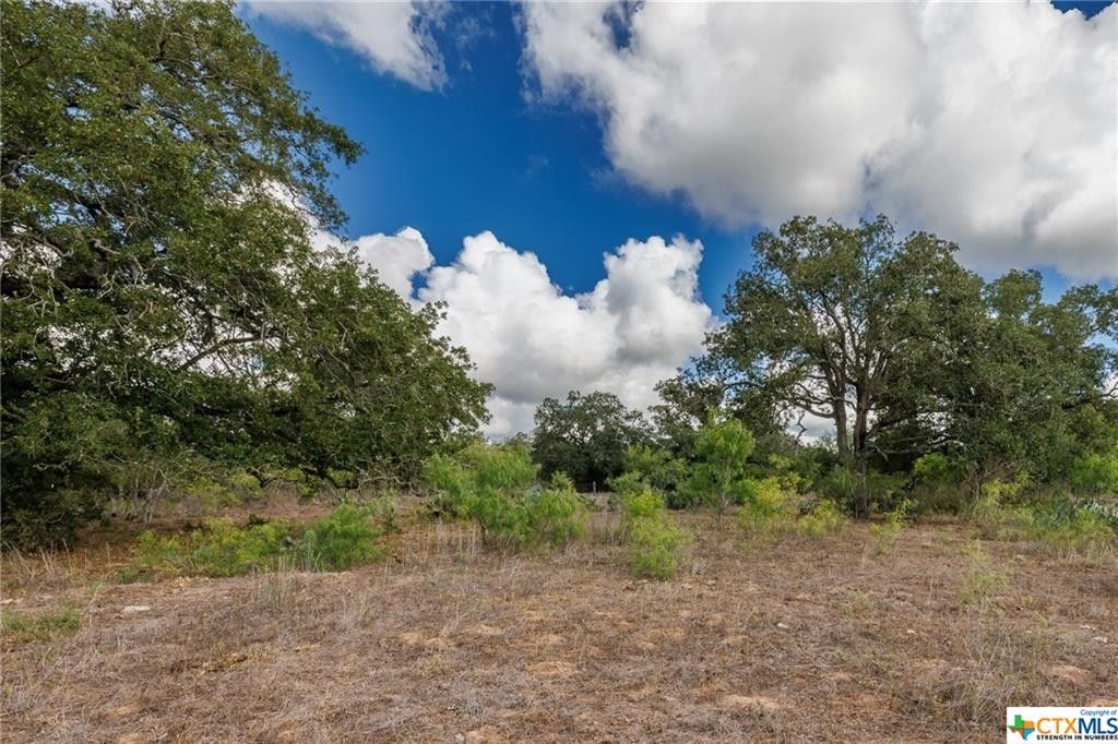 52.67 acres in Gonzales County, Texas