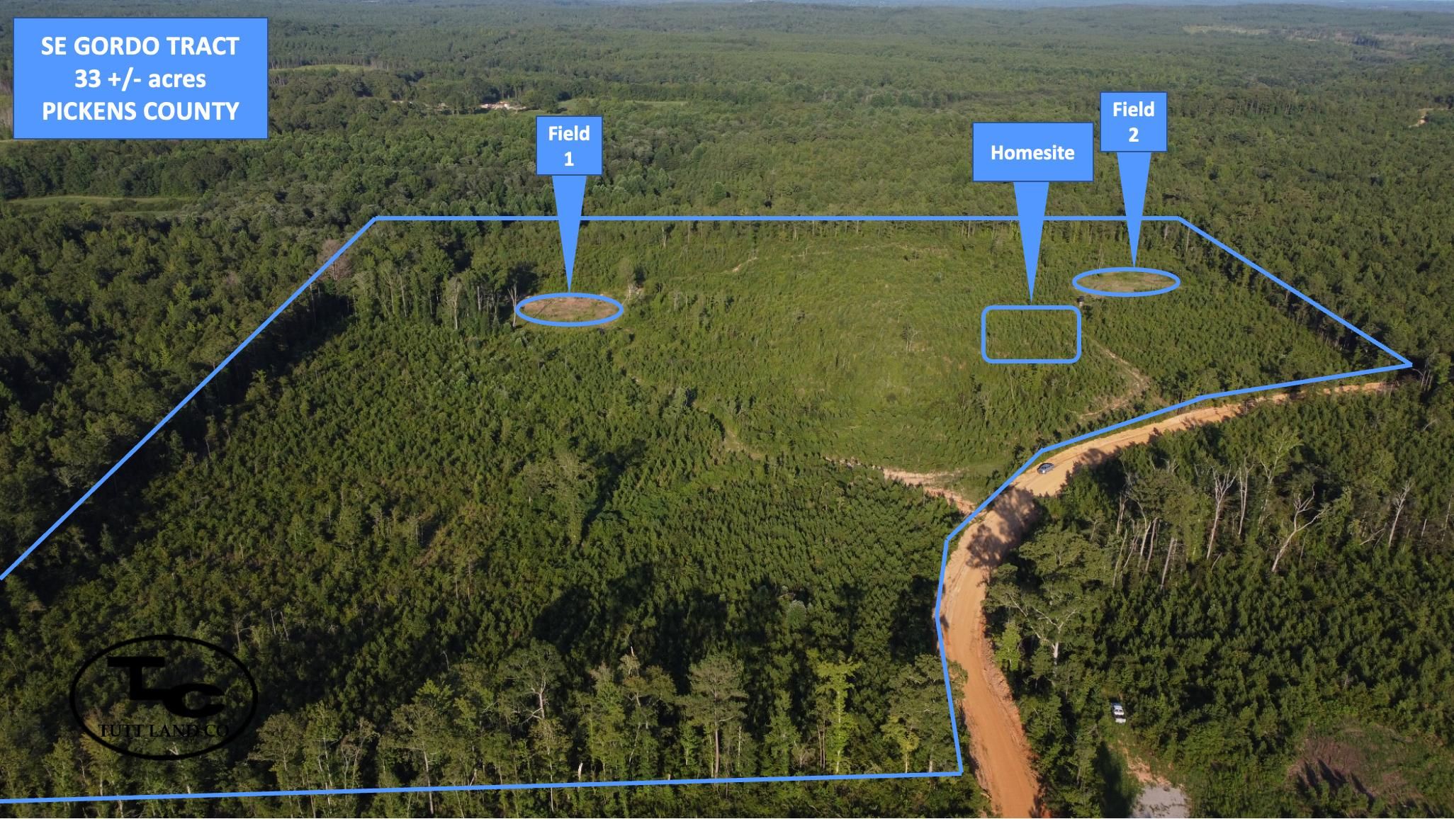 33 acres in Pickens County, Alabama