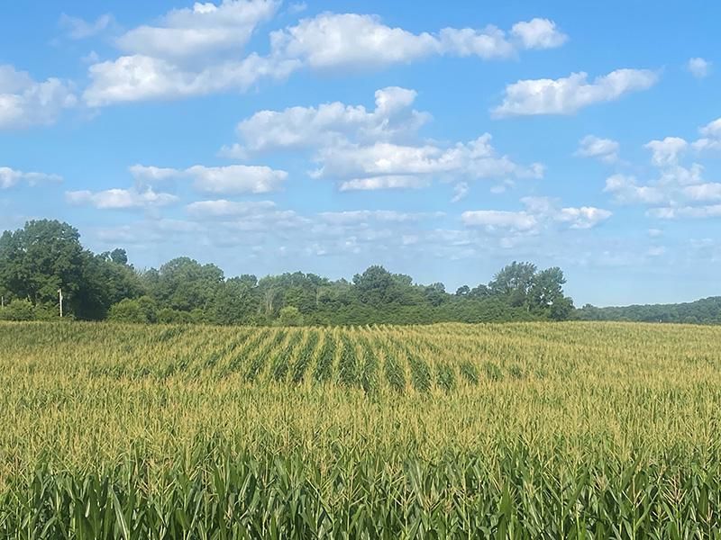 40 acres in LaPorte County, Indiana