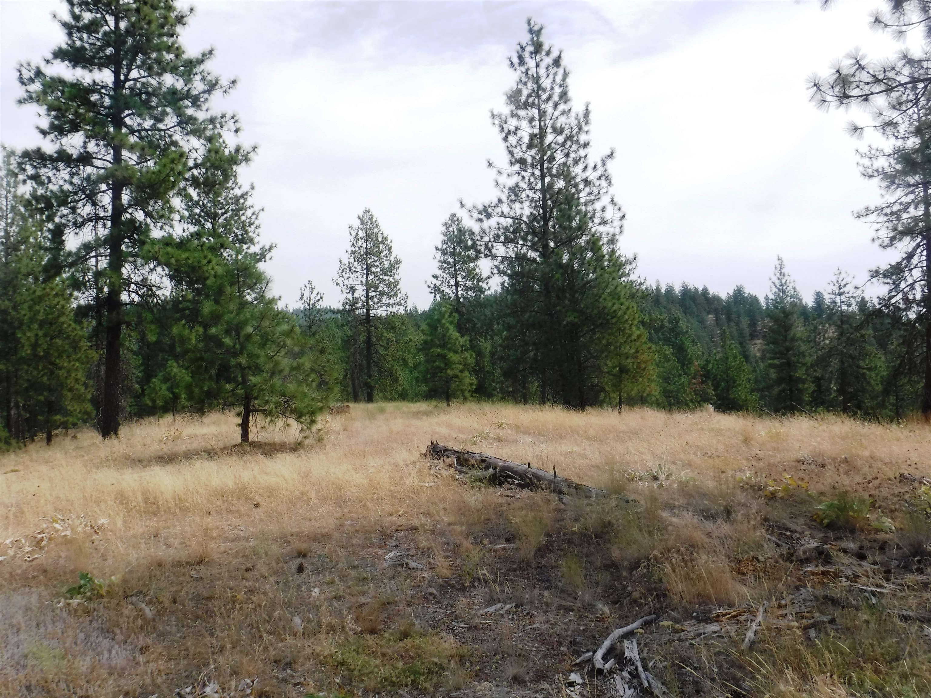 40 acres in Stevens County, Washington