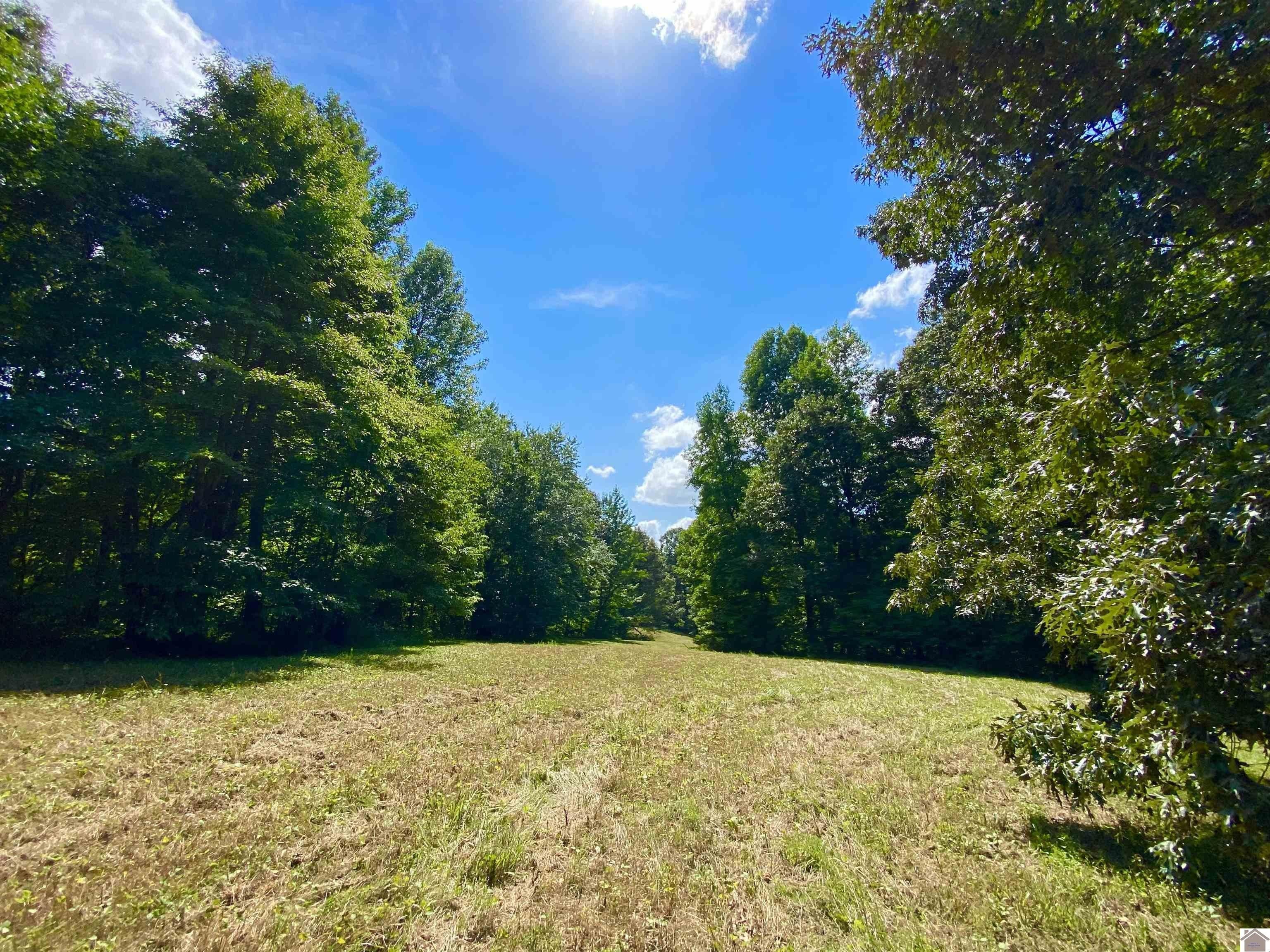 116 acres in Livingston County, Kentucky