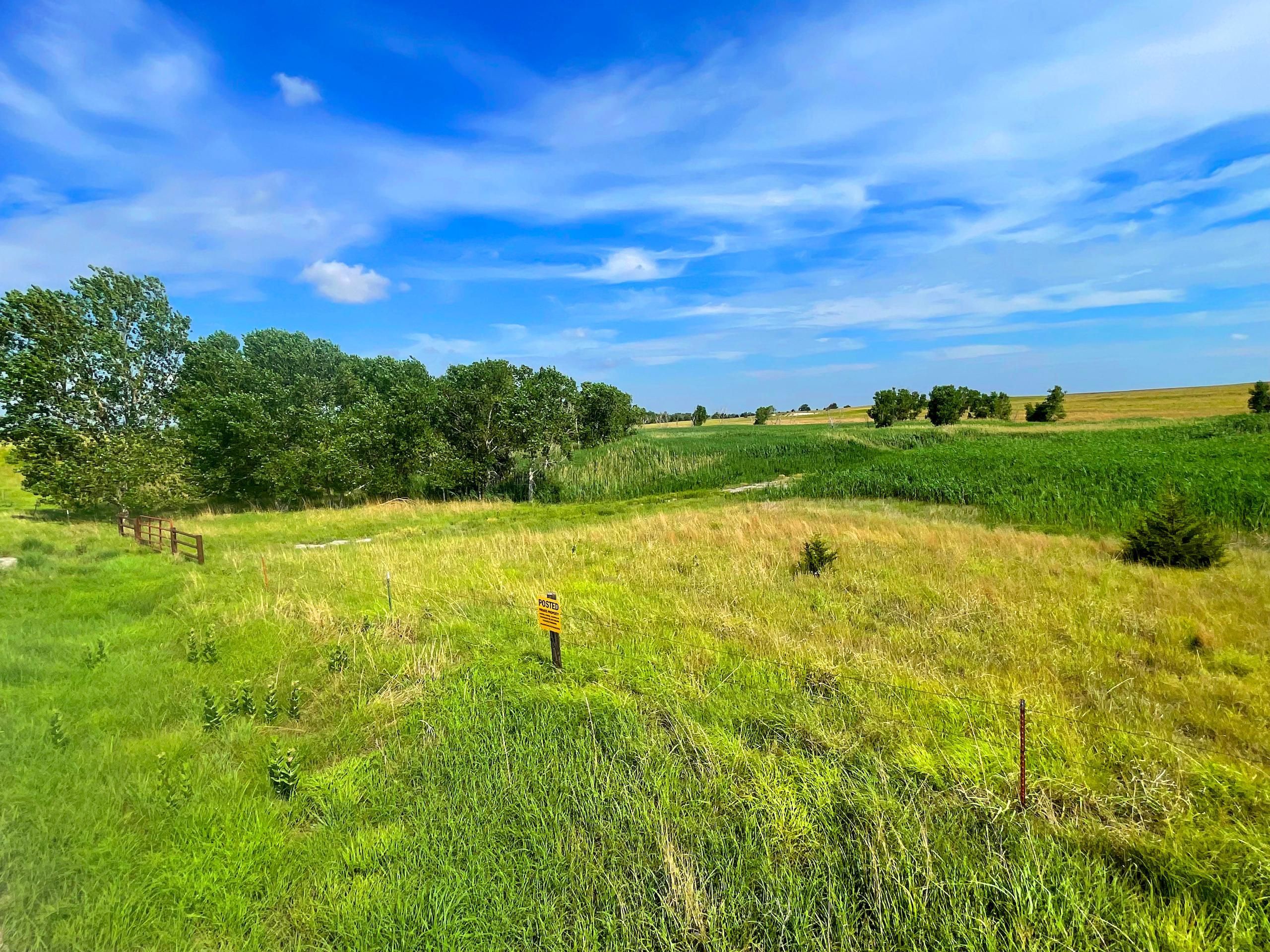 98.41 acres in Rooks County, Kansas