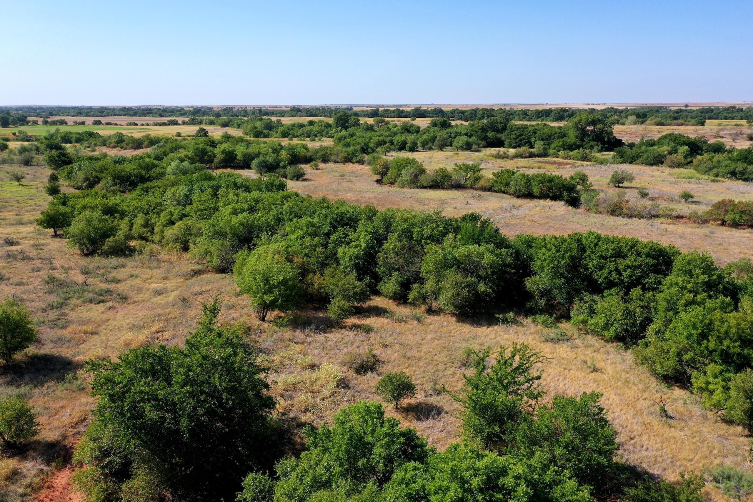 160 acres in Cotton County, Oklahoma