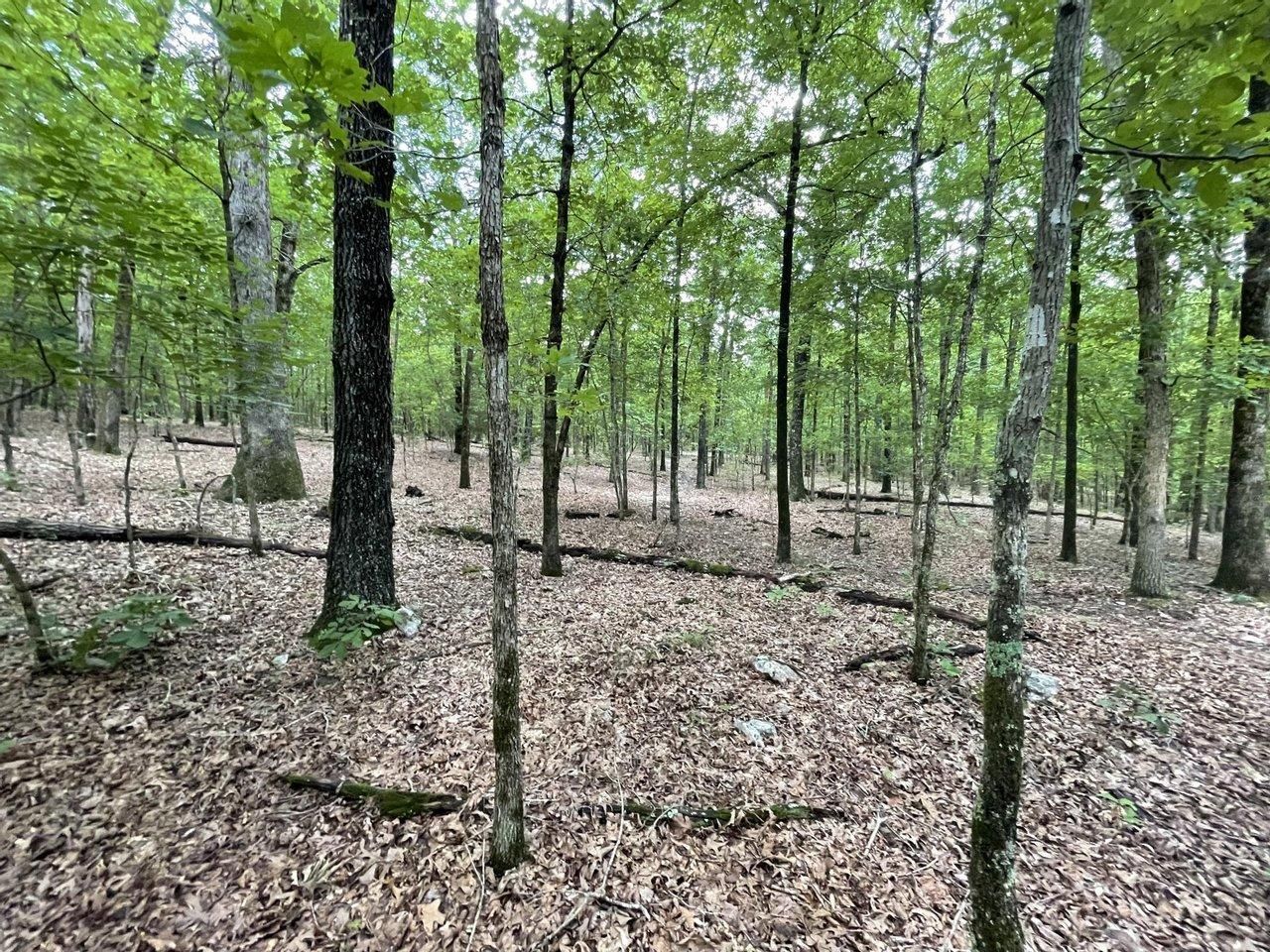 5 acres in Sharp County, Arkansas