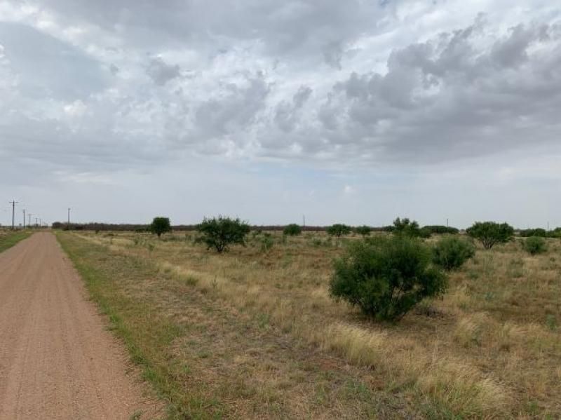 40 acres in Jones County, Texas