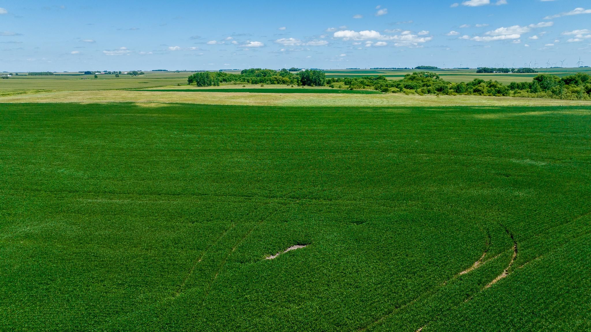 120 acres in Wright County, Iowa