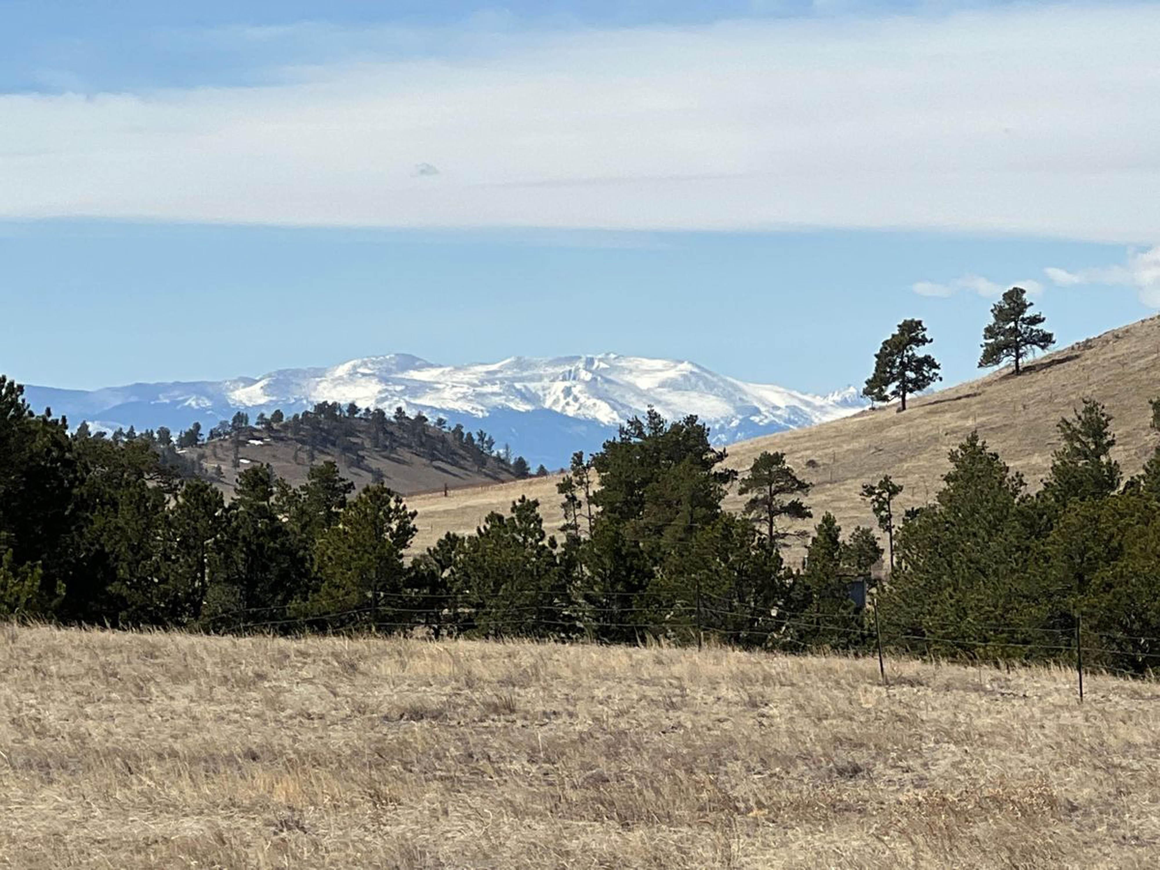 35 acres in Larimer County, Colorado