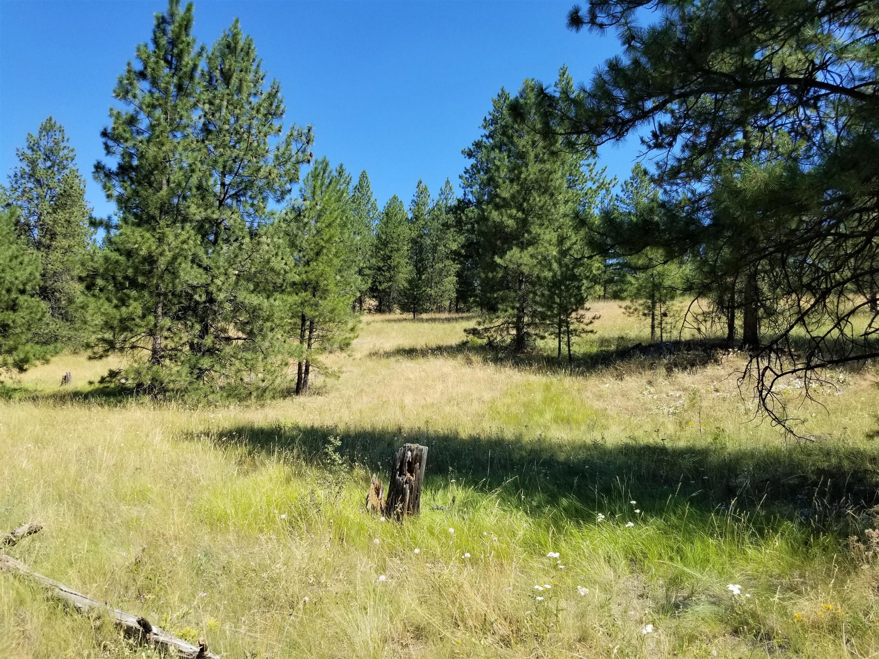 20 acres in Okanogan County, Washington