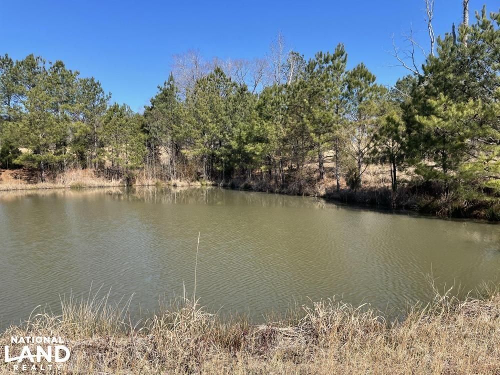 0 County Road 24, Millport, AL 35576