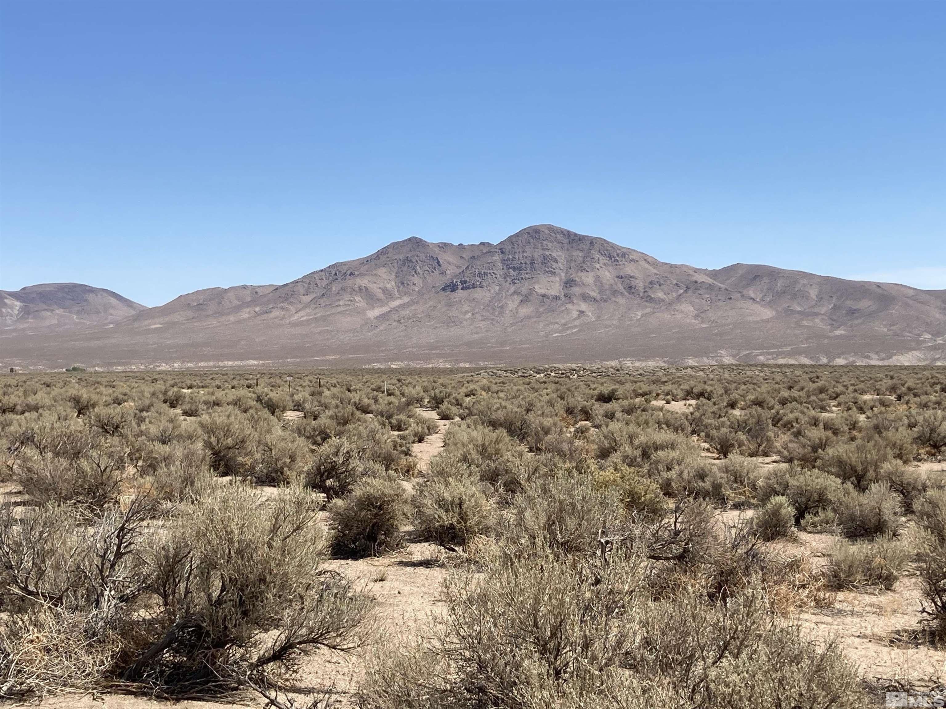5 acres in Lyon County, Nevada