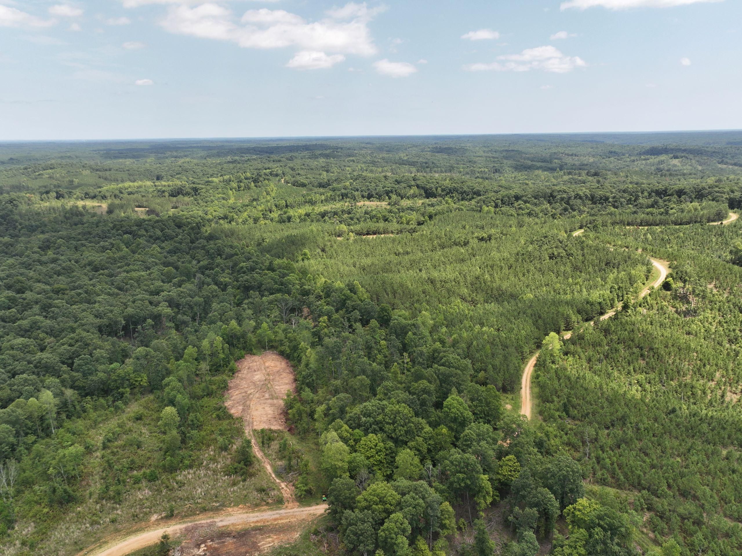 62 acres in Trigg County, Kentucky
