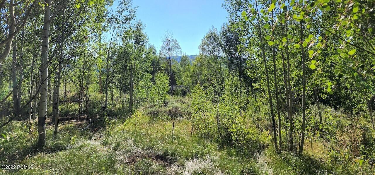 0.59 acres in Summit County, Utah