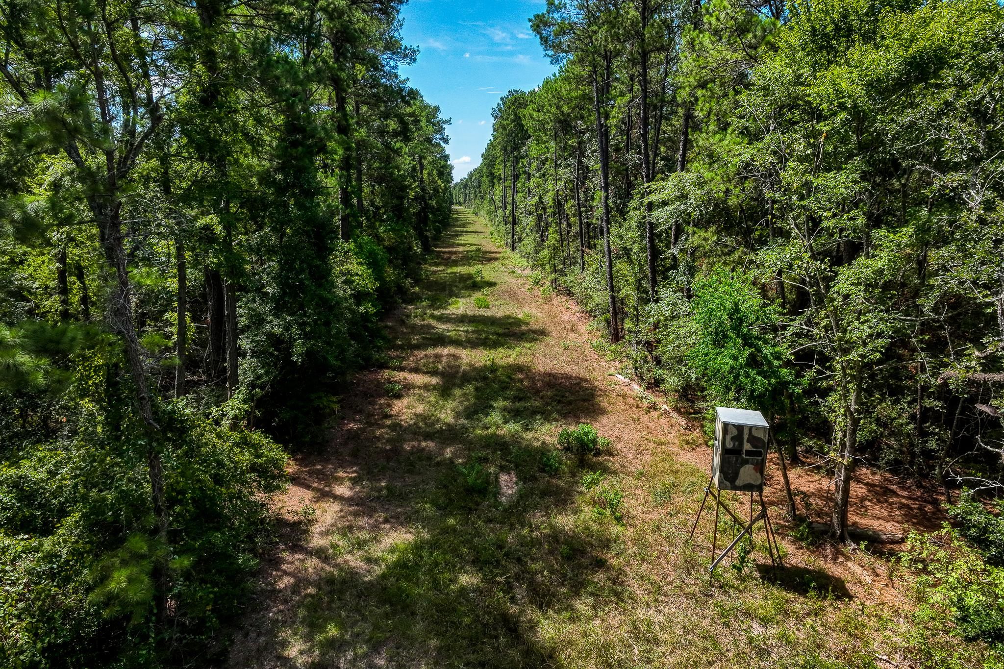 85 acres in Waller County, Texas