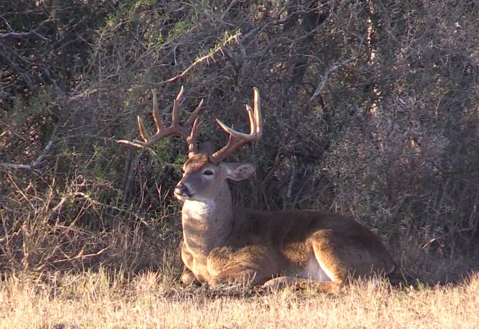 9,382 acres in Duval County, Texas