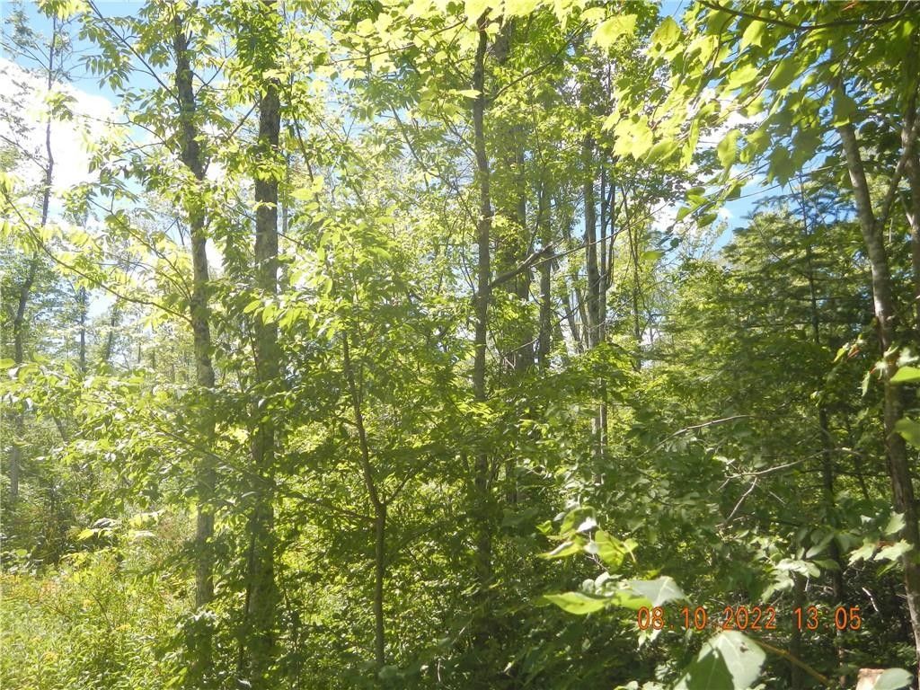 10 acres in Sawyer County, Wisconsin