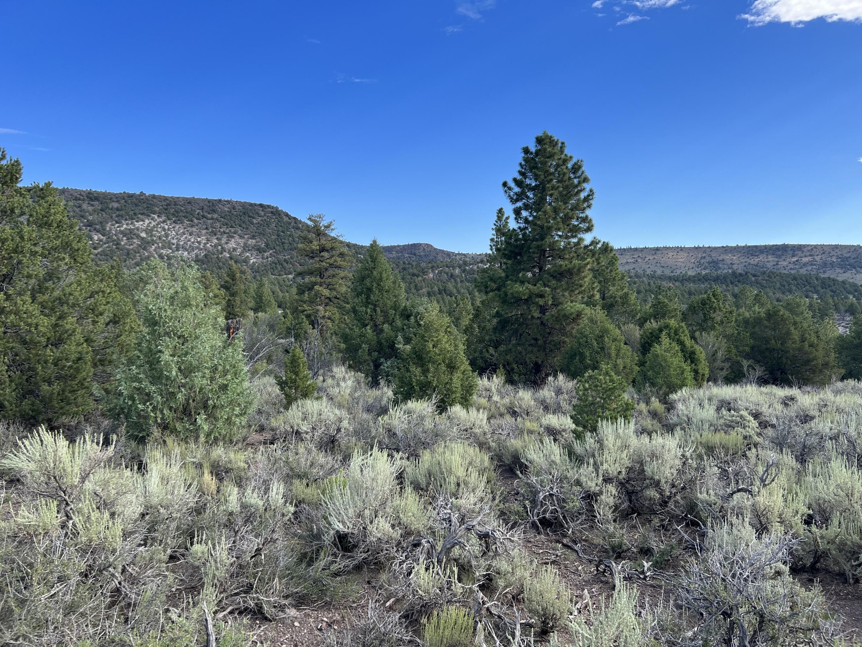 2.5 acres in Garfield County, Utah