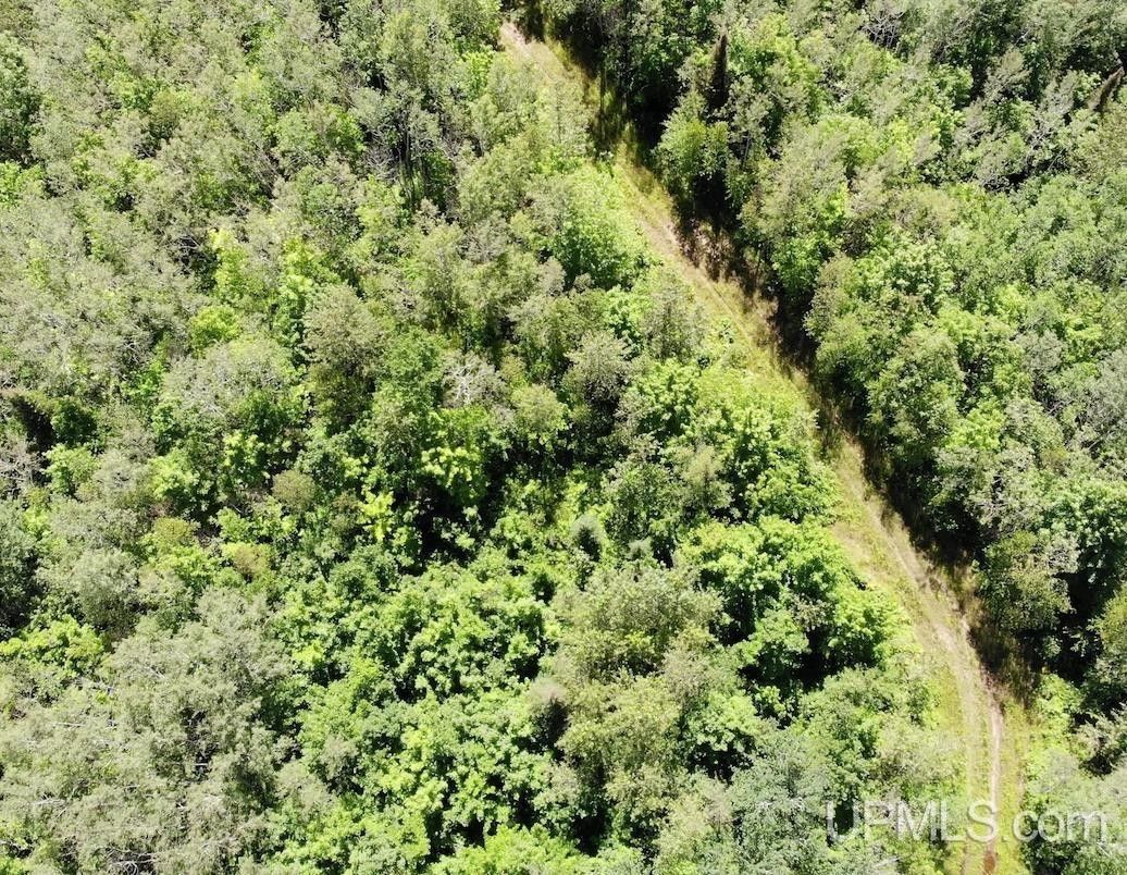 40 acres in Baraga County, Michigan