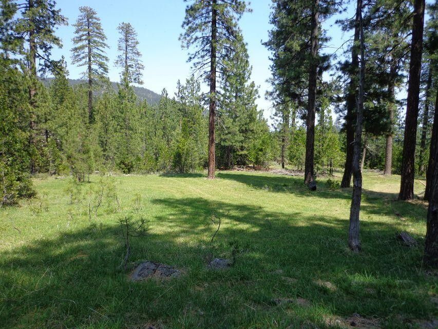 40 acres in Shasta County, California