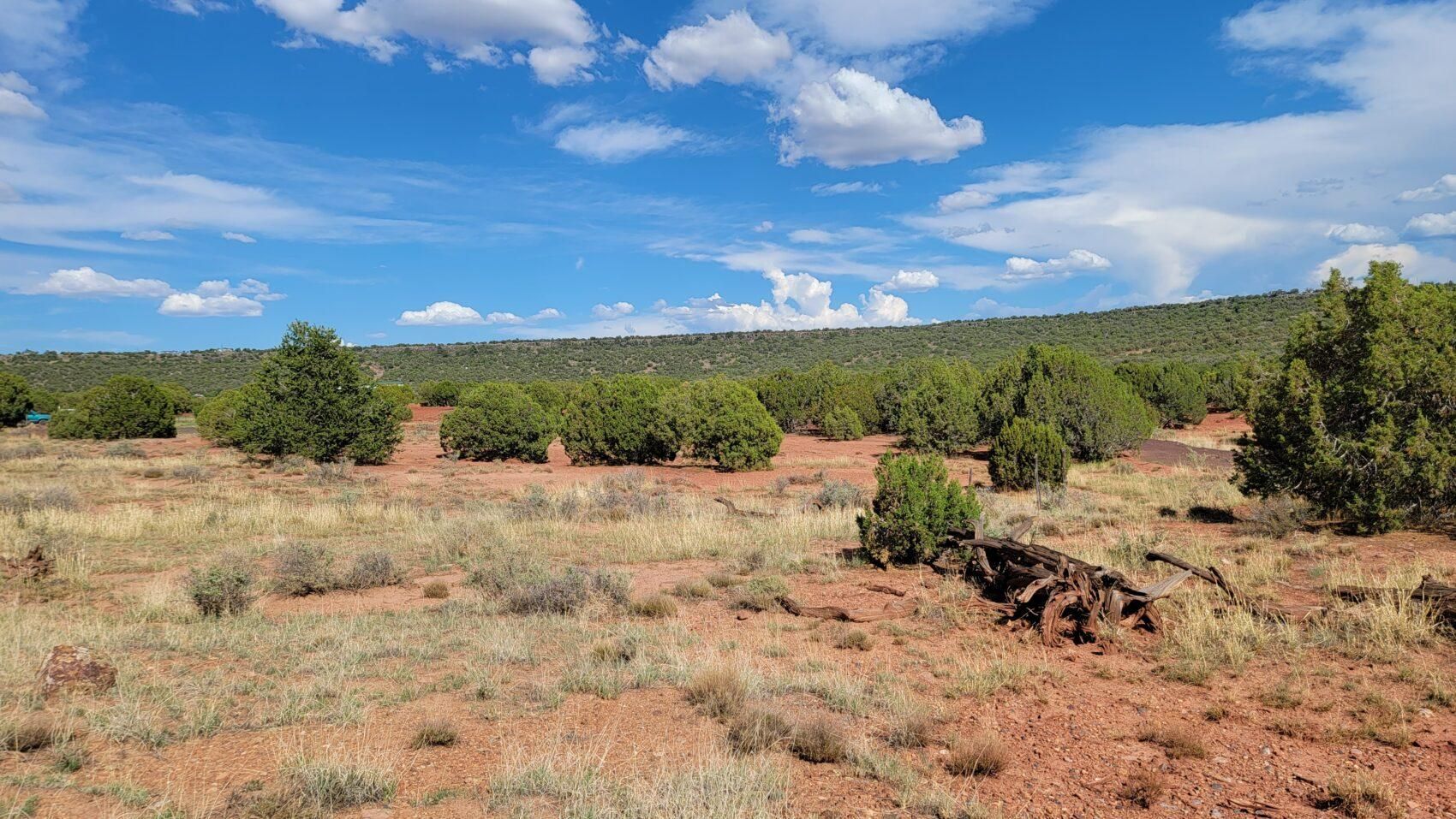 1.17 acres in Apache County, Arizona
