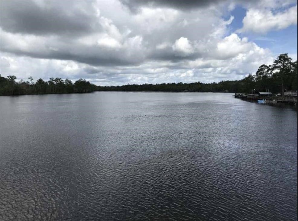 5 acres in Wakulla County, Florida