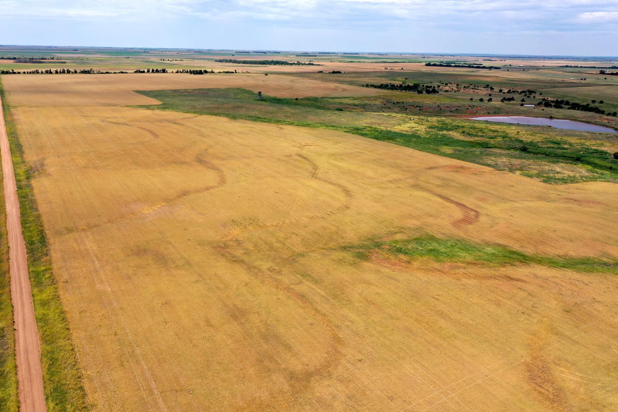 160 acres in Tillman County, Oklahoma