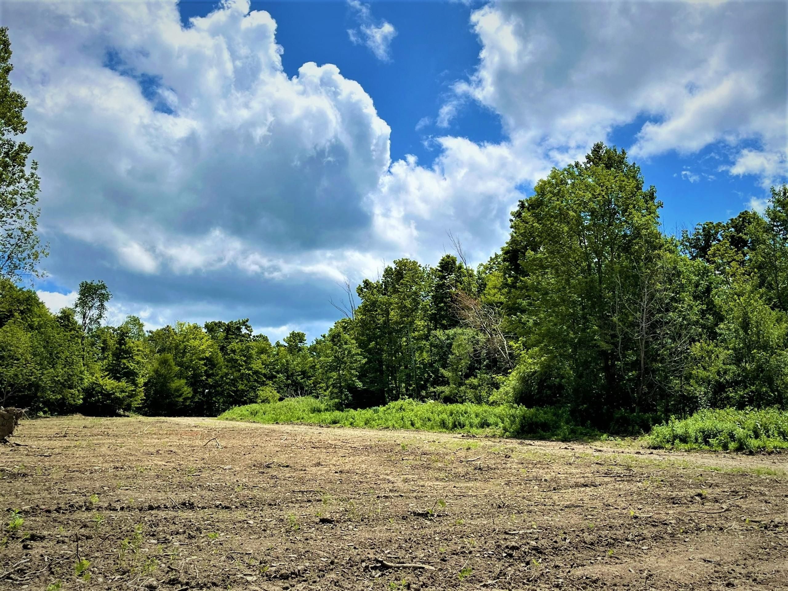 54.3 acres in Chautauqua County, New York