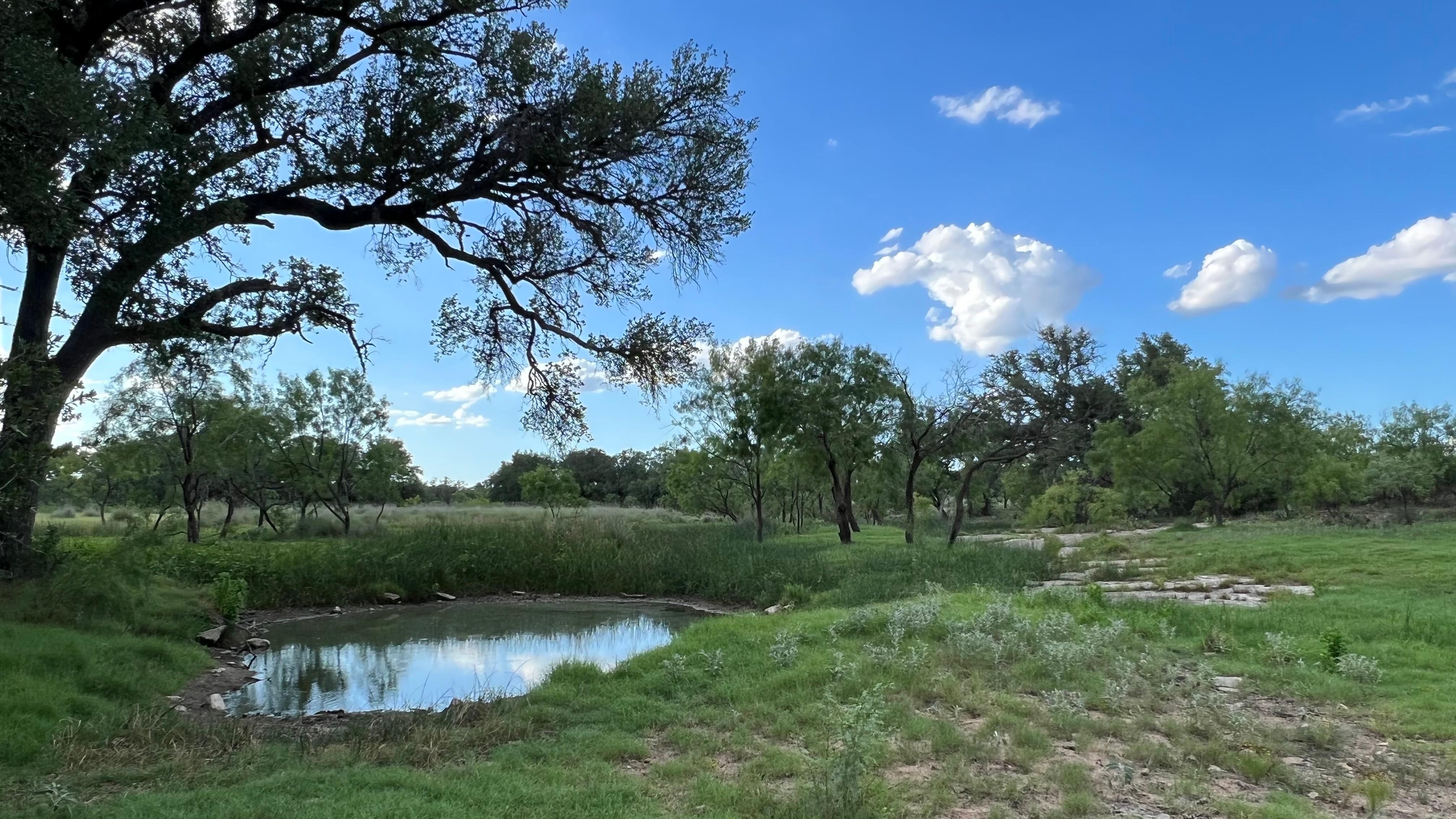 95.6 acres in Mason County, Texas
