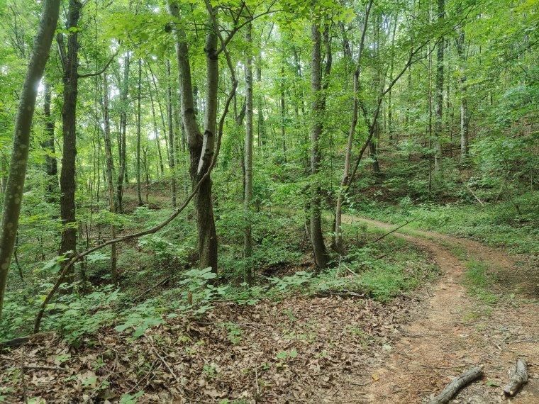 Veterans Road, Trenton, GA 30752 MLS 10320538