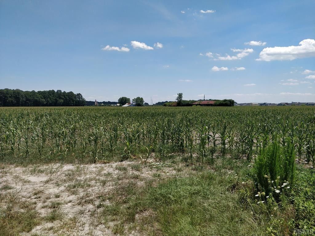 85 acres in Pasquotank County, North Carolina