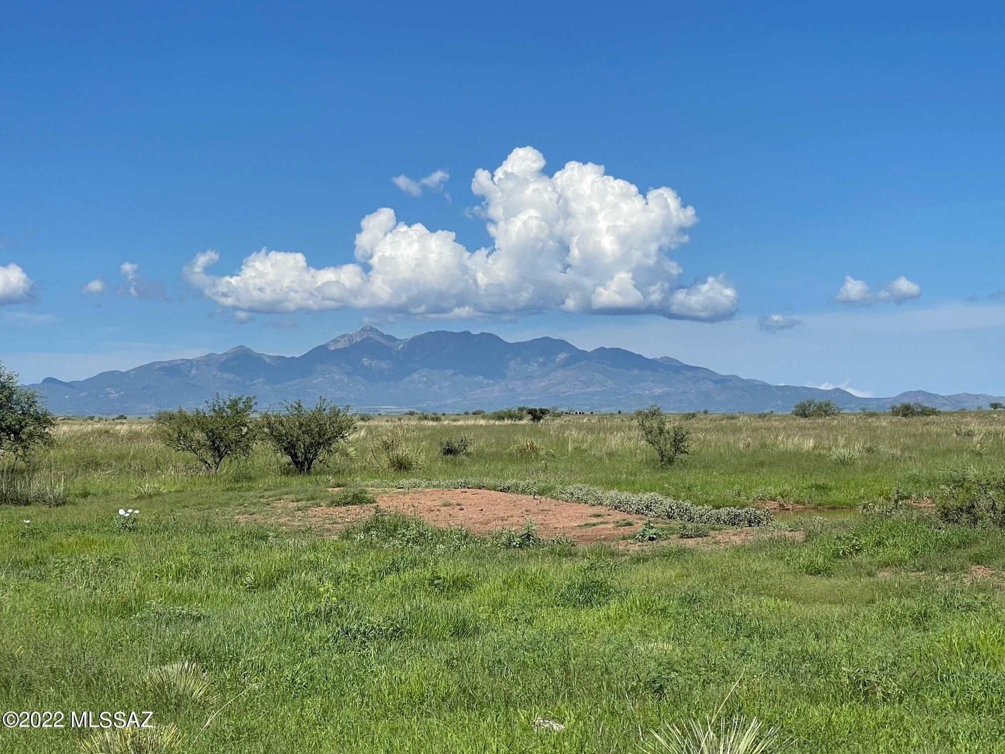 40 acres in Pima County, Arizona