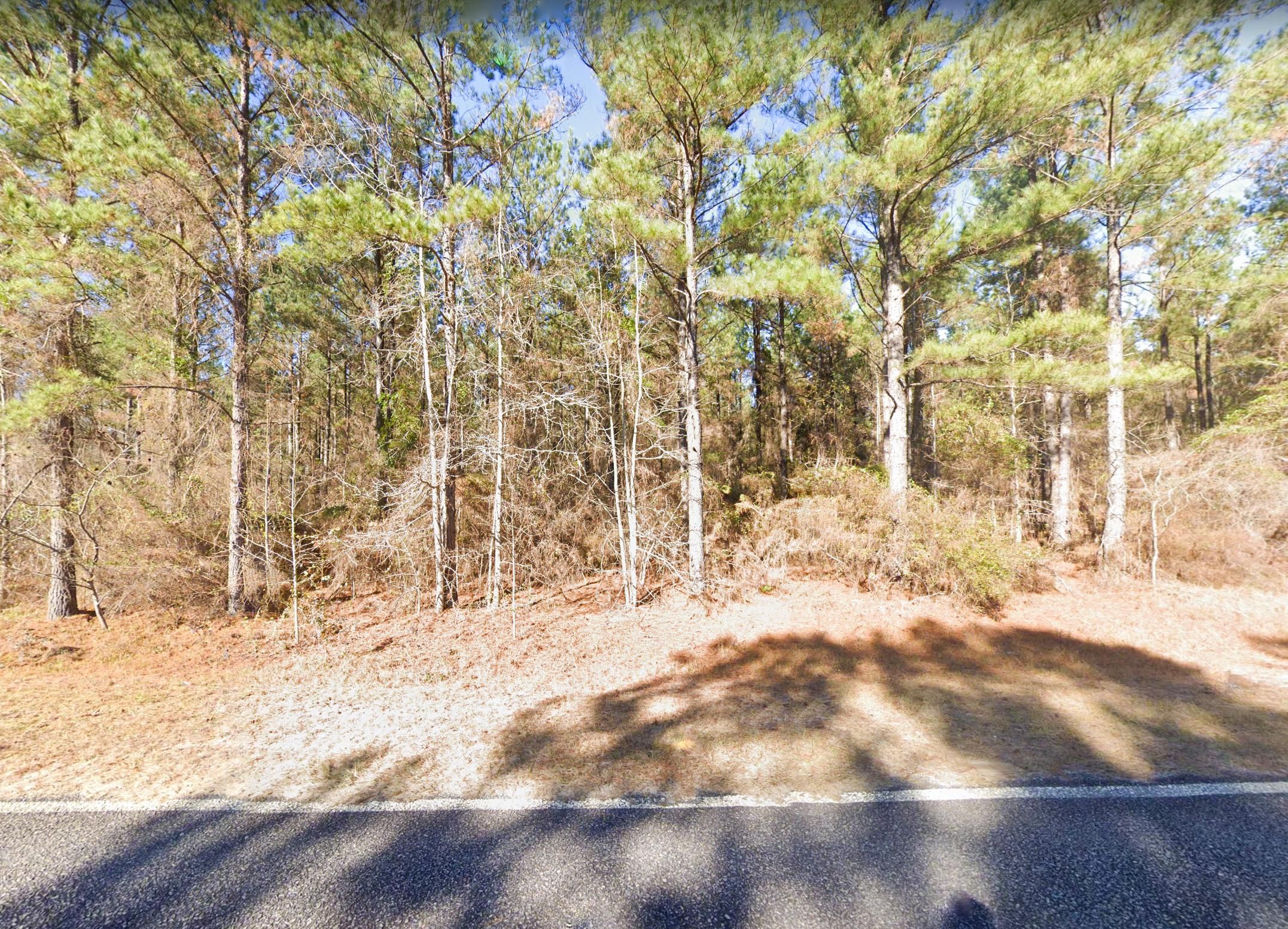 6 acres in Laurens County, Georgia