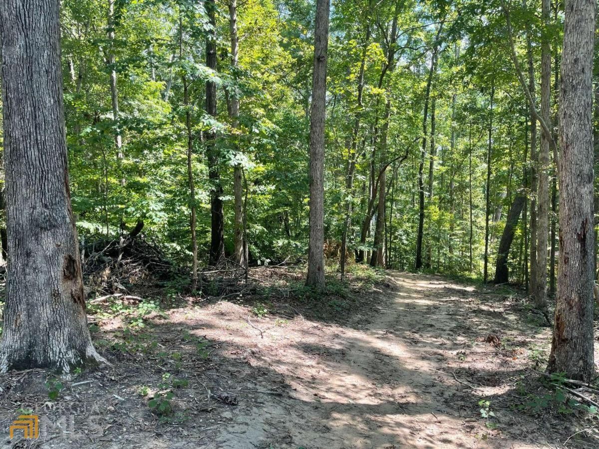 2.3 acres in Rockdale County,