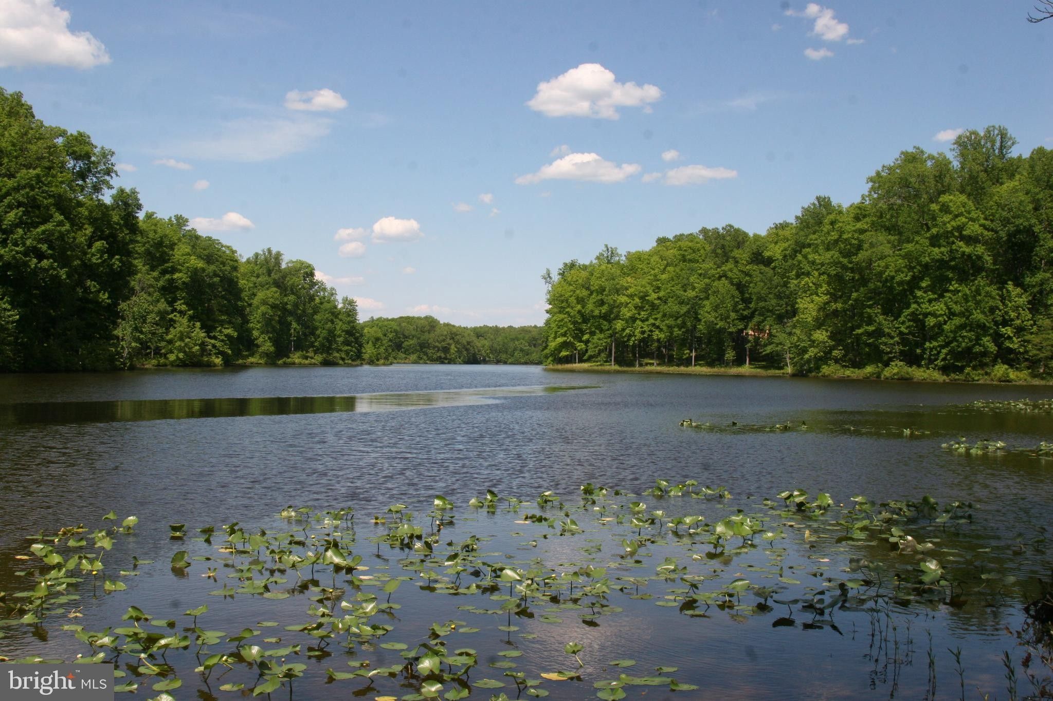 142 acres in Spotsylvania County, Virginia