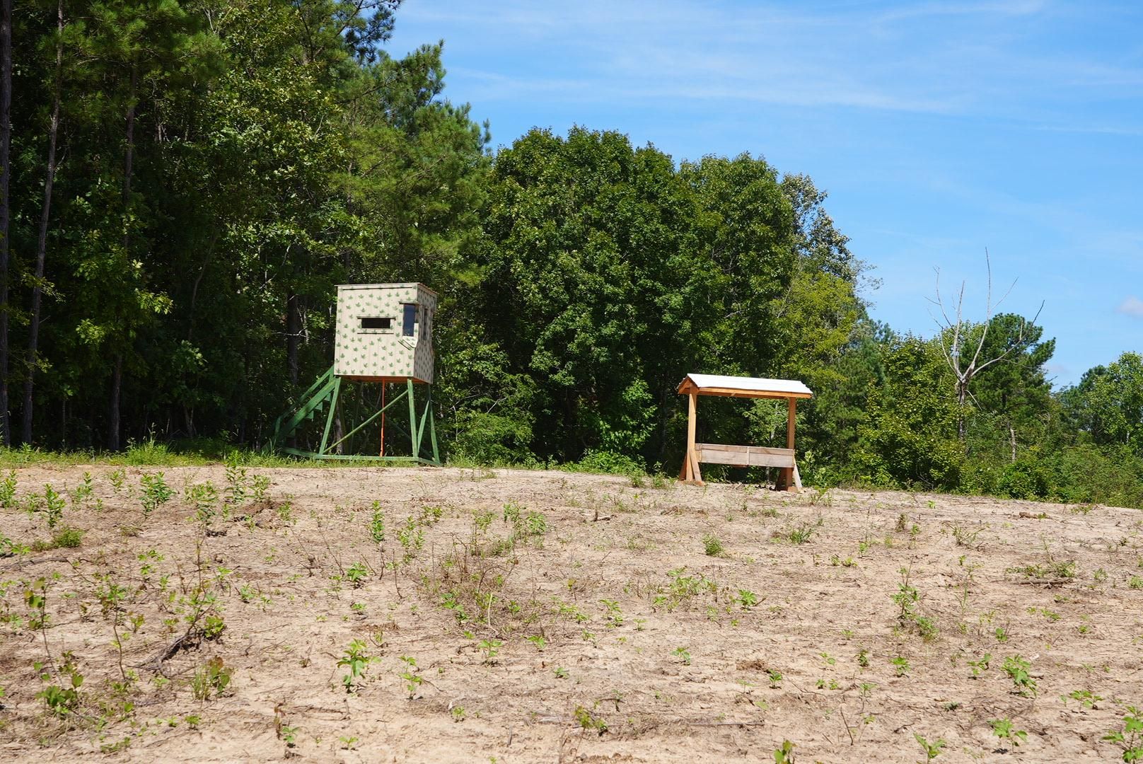 45 acres in Burna, KY, 42028